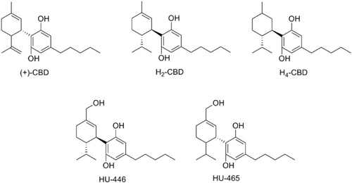 H4CBDの化学式